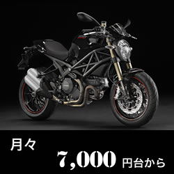 monster1100evo