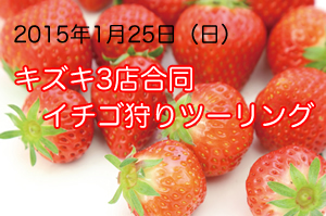 イチゴツーリング