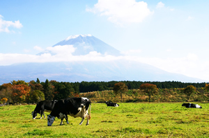 富士山1周ツーリング